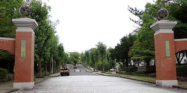 大学