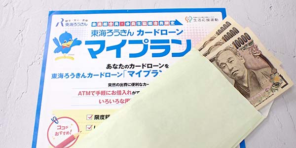 マイプランのパンフレットとお金